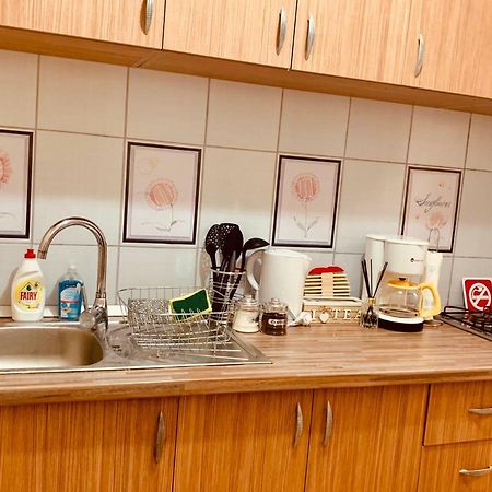 Ultracentral Apartment With All You Need: Wifi, Tv, Ac, Washer, Coffe Timisoara Ngoại thất bức ảnh