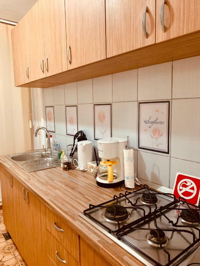 Ultracentral Apartment With All You Need: Wifi, Tv, Ac, Washer, Coffe Timisoara Ngoại thất bức ảnh