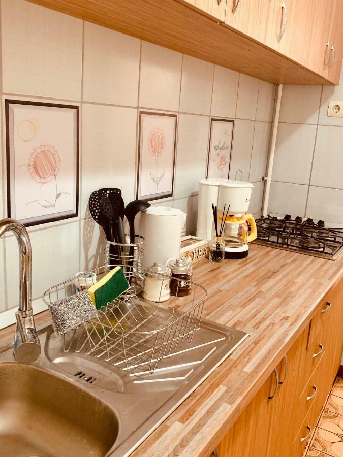 Ultracentral Apartment With All You Need: Wifi, Tv, Ac, Washer, Coffe Timisoara Ngoại thất bức ảnh