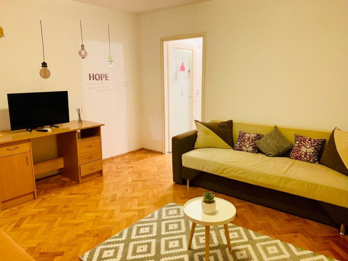 Ultracentral Apartment With All You Need: Wifi, Tv, Ac, Washer, Coffe Timisoara Ngoại thất bức ảnh