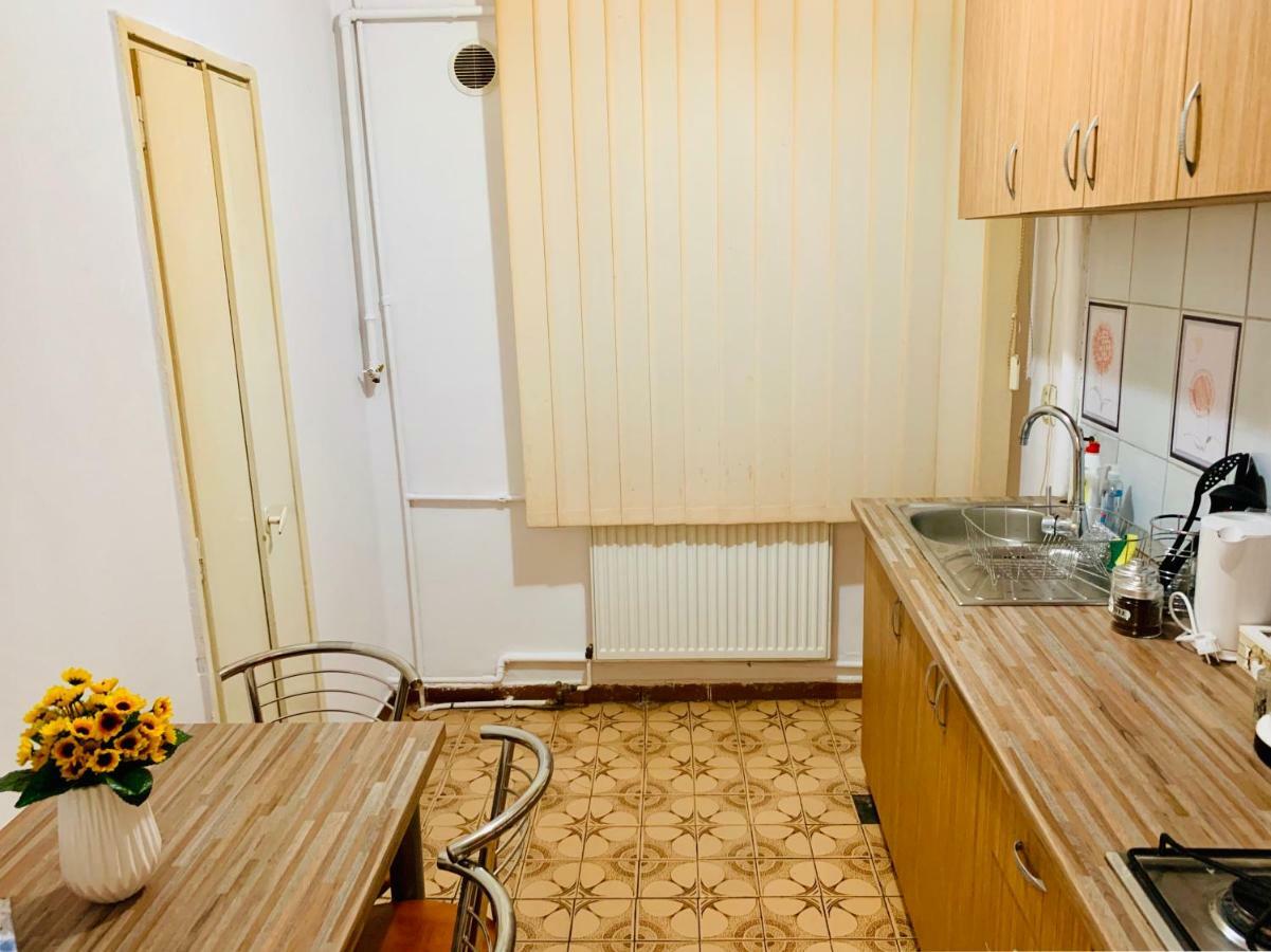 Ultracentral Apartment With All You Need: Wifi, Tv, Ac, Washer, Coffe Timisoara Ngoại thất bức ảnh