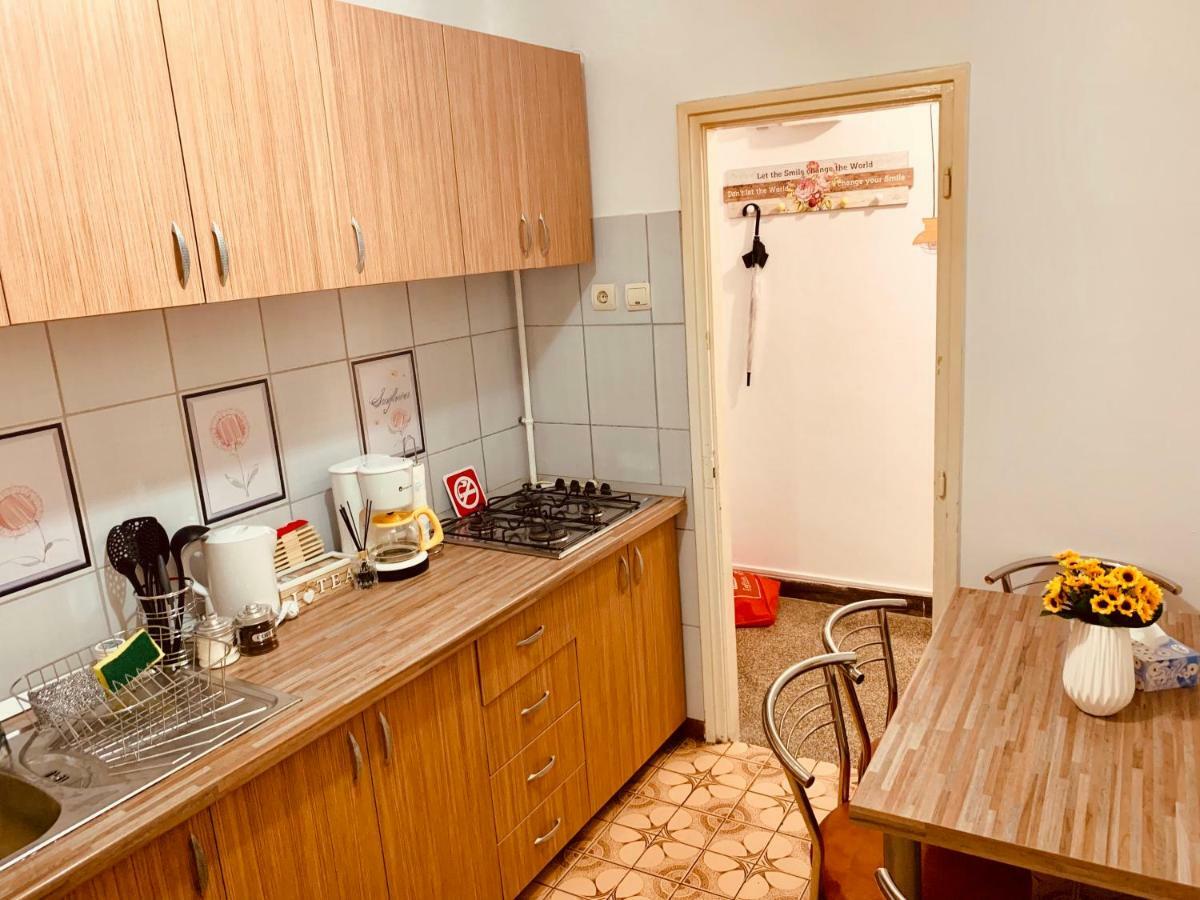 Ultracentral Apartment With All You Need: Wifi, Tv, Ac, Washer, Coffe Timisoara Ngoại thất bức ảnh